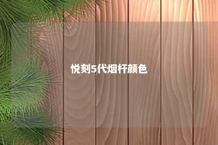 悦刻5代烟杆颜色