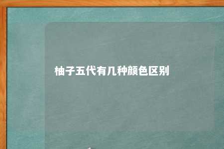 柚子五代有几种颜色区别