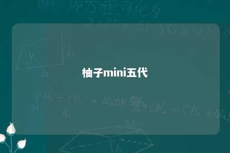 柚子mini五代