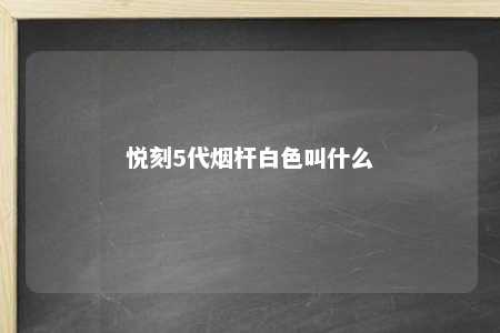 悦刻5代烟杆白色叫什么