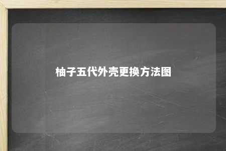 柚子五代外壳更换方法图