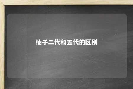 柚子二代和五代的区别