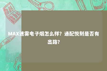 MAX迷雾电子烟怎么样？通配悦刻是否有出路？