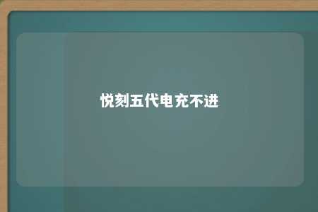 悦刻五代电充不进