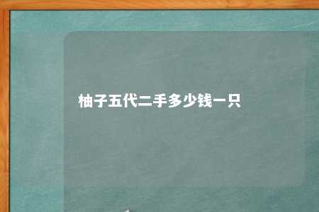 柚子五代二手多少钱一只