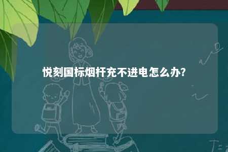 悦刻国标烟杆充不进电怎么办？