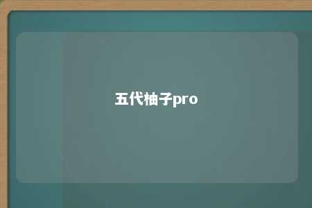 五代柚子pro