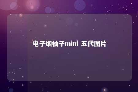 电子烟柚子mini 五代图片