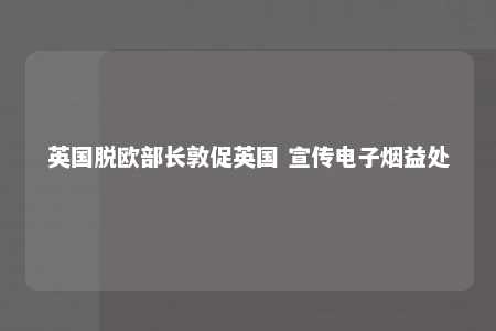 英国脱欧部长敦促英国 宣传电子烟益处