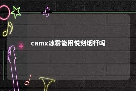 camx冰雾能用悦刻烟杆吗