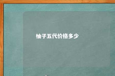 柚子五代价格多少