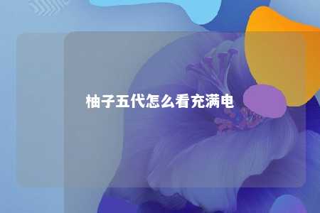 柚子五代怎么看充满电