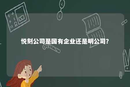 悦刻公司是国有企业还是明公司？