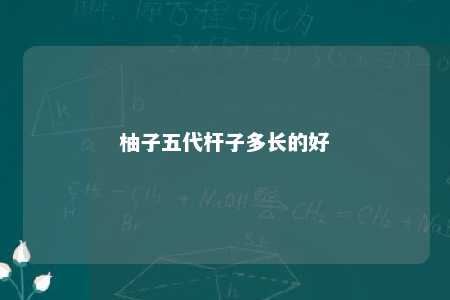 柚子五代杆子多长的好