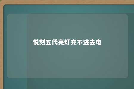 悦刻五代亮灯充不进去电