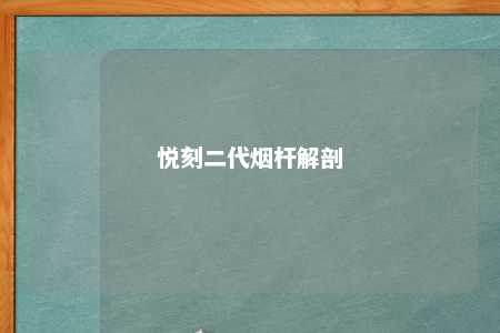 悦刻二代烟杆解剖