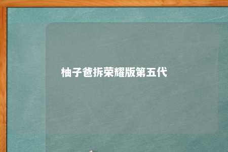 柚子爸拆荣耀版第五代