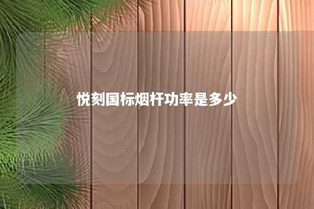 悦刻国标烟杆功率是多少