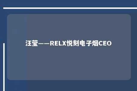 汪莹——RELX悦刻电子烟CEO