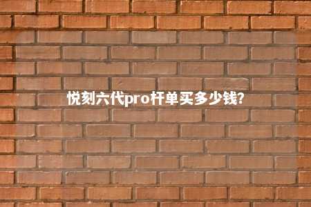 悦刻六代pro杆单买多少钱？