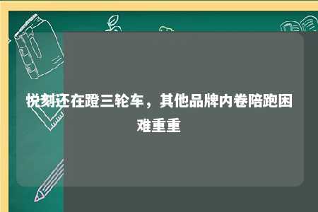 悦刻还在蹬三轮车，其他品牌内卷陪跑困难重重