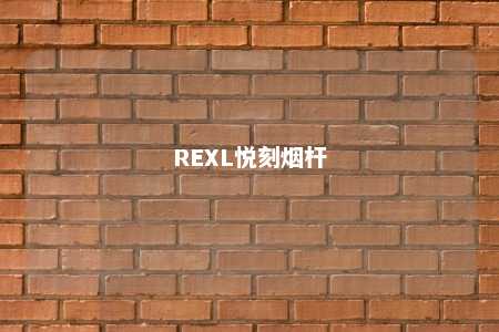 REXL悦刻烟杆