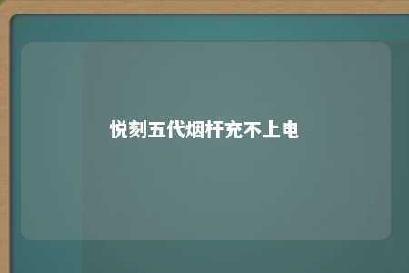 悦刻五代烟杆充不上电