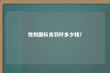 悦刻国标青羽杆多少钱？