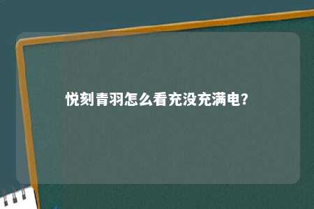 悦刻青羽怎么看充没充满电？