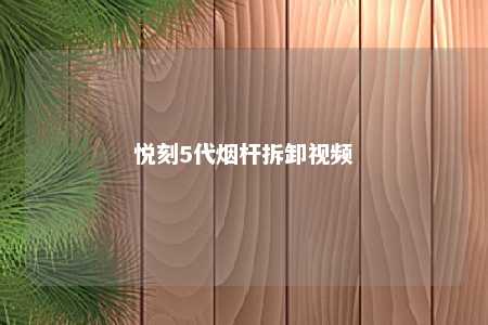 悦刻5代烟杆拆卸视频