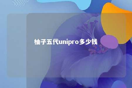 柚子五代unipro多少钱