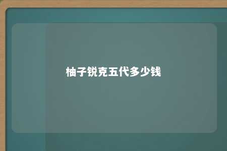 柚子锐克五代多少钱