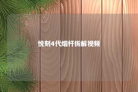 悦刻4代烟杆拆解视频