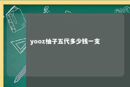 yooz柚子五代多少钱一支