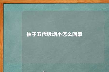 柚子五代吸烟小怎么回事