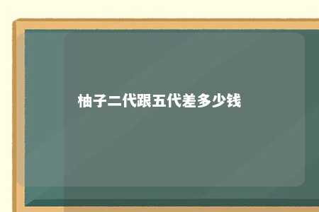 柚子二代跟五代差多少钱