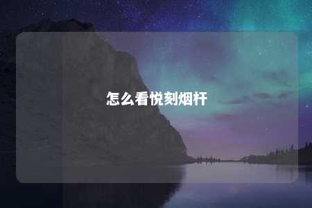 怎么看悦刻烟杆