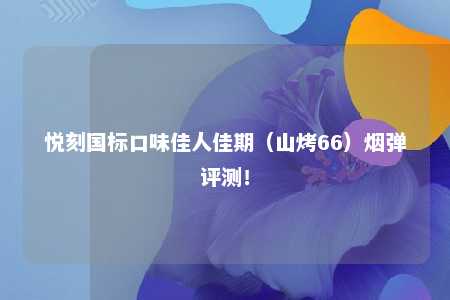 悦刻国标口味佳人佳期（山烤66）烟弹评测！