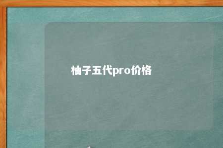 柚子五代pro价格