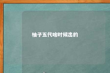 柚子五代啥时候出的