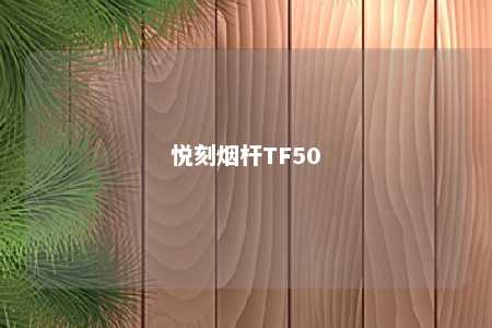 悦刻烟杆TF50