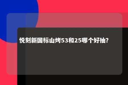 悦刻新国标山烤53和25哪个好抽？