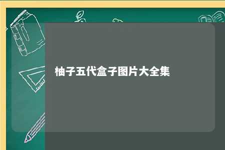 柚子五代盒子图片大全集