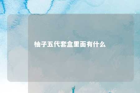 柚子五代套盒里面有什么