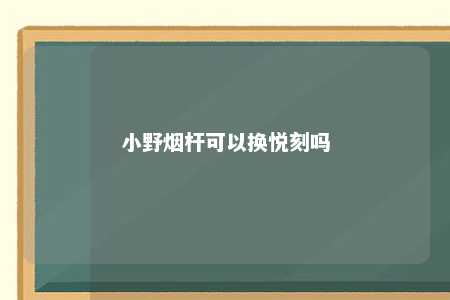 小野烟杆可以换悦刻吗