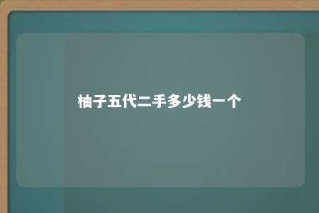 柚子五代二手多少钱一个