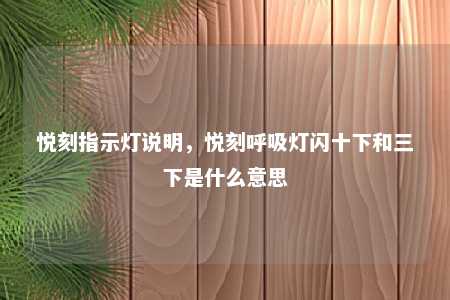 悦刻指示灯说明，悦刻呼吸灯闪十下和三下是什么意思