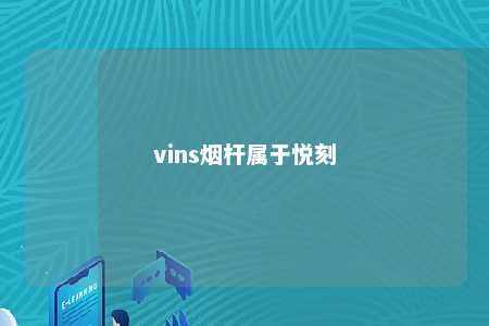 vins烟杆属于悦刻