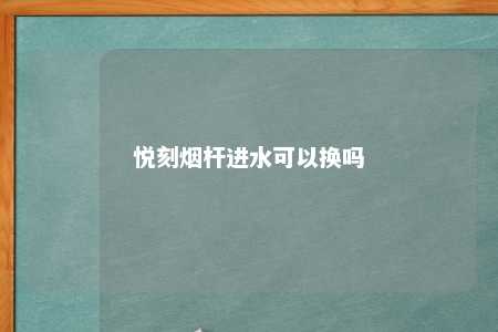 悦刻烟杆进水可以换吗